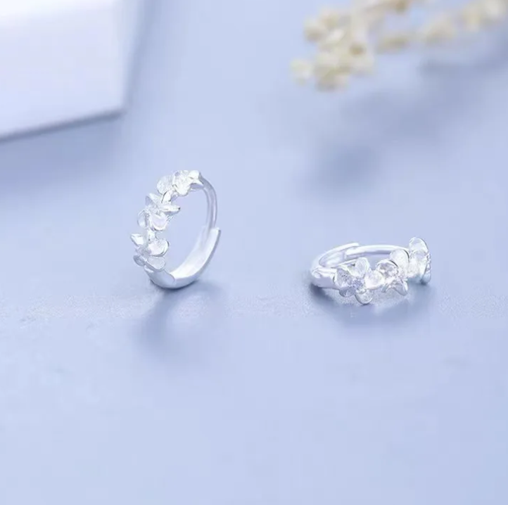 Arete de plata de ley 925