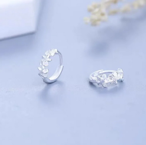 Arete de plata de ley 925